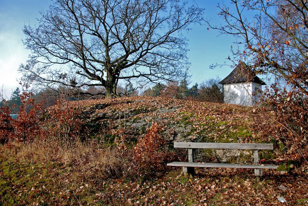 Gasthof Und Pension Haunschmid Rechberg Екстер'єр фото